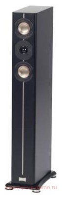 ASW Cantius 404