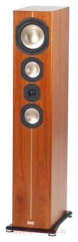 ASW Cantius 604